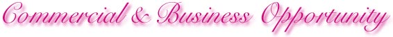 Commercial & Business Op